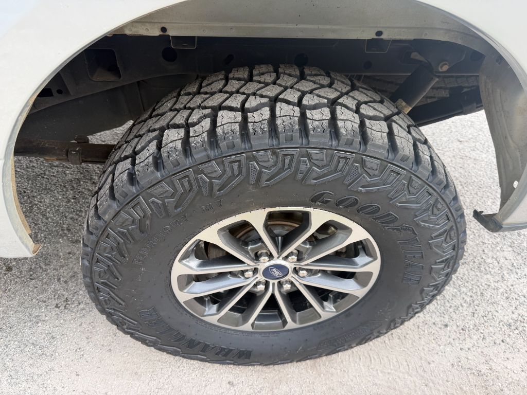 2019 Ford F-150 XL - Photo 6