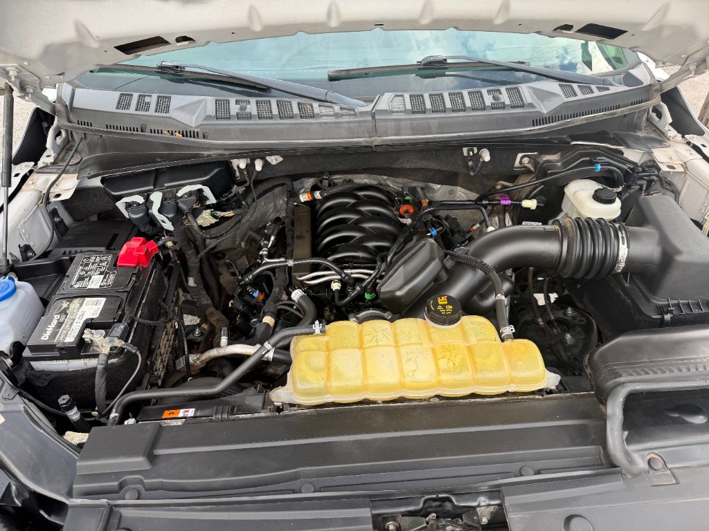 2019 Ford F-150 XL - Photo 14